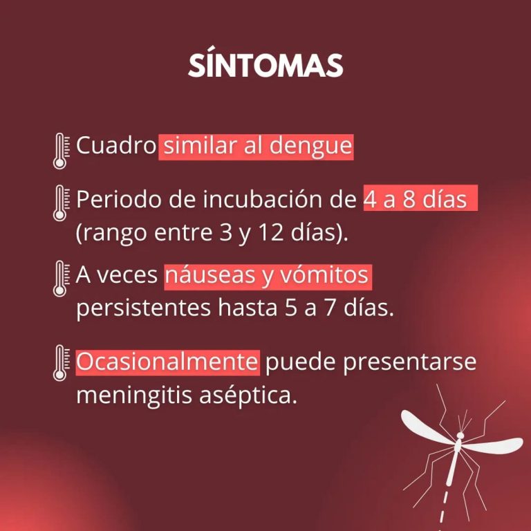 Entre el dengue y el oropouche en Cienfuegos 2 768x768