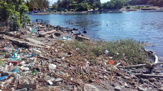 Investigadores de Cienfuegos participan en proyecto latinoamericano sobre contaminacion ambiental