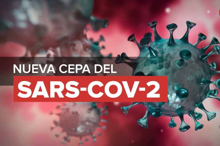 coronavirus nueva cepa