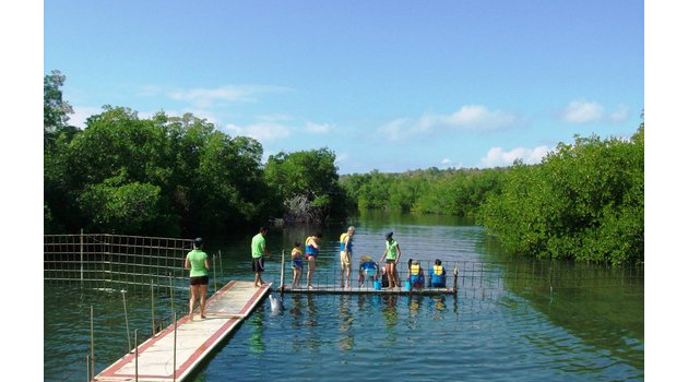 delfinario manglares cienfuegos